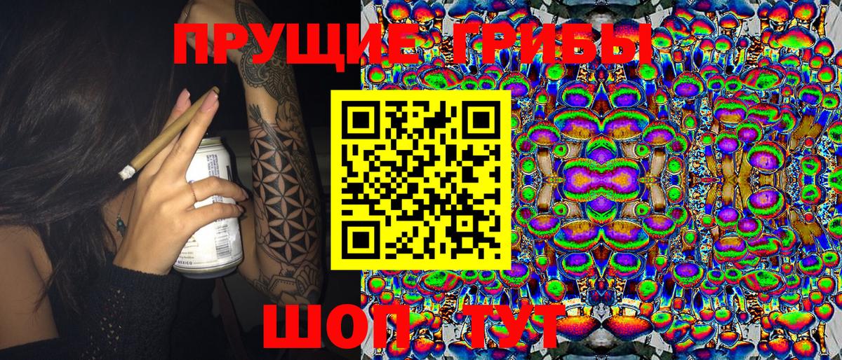 Галлюциногенные грибы Psilocybe  Вход с VPN  Избербаш 
