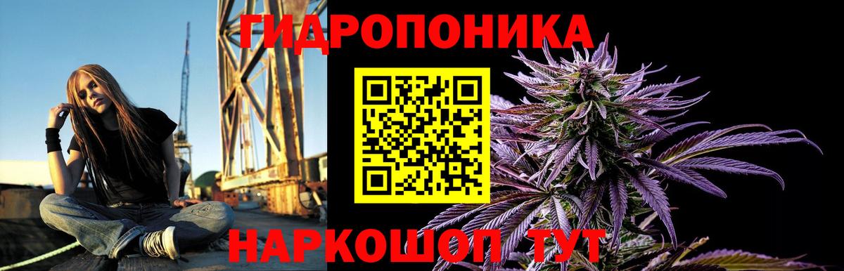 Шишки марихуана VHQ  Шишки марихуана LSD WEED  Избербаш  МАРИХУАНА Ganja  Вход с VPN 